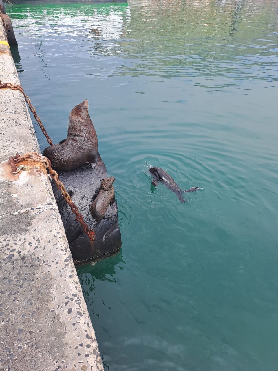 63c20f27 3abd 4442 9584 bf795286cf26